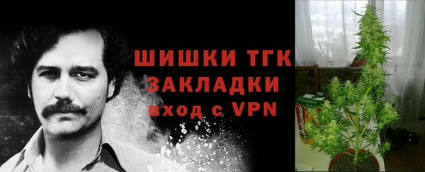 ECSTASY Белокуриха
