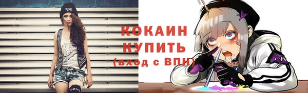 ECSTASY Белокуриха