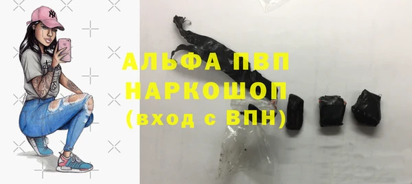 ECSTASY Белокуриха