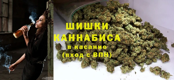 ECSTASY Белокуриха
