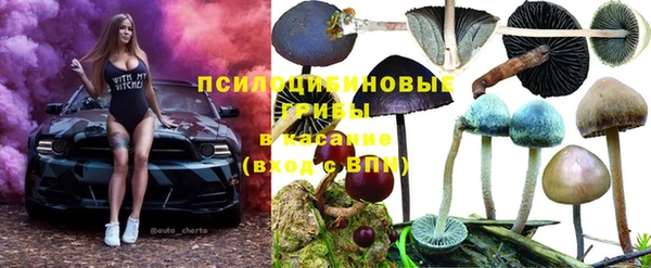 ECSTASY Белокуриха