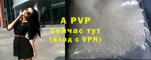 ECSTASY Белокуриха