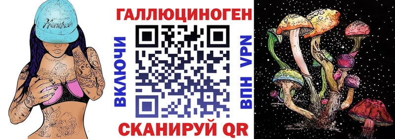 сайты даркнета наркотические препараты ОМГ ОМГ ссылка Новотитаровская Псилоцибиновые грибы GOLDEN TEACHER